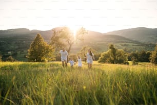 Jeune famille heureuse avec deux jeunes enfants marchant sur la prairie à l’extérieur au coucher du soleil.