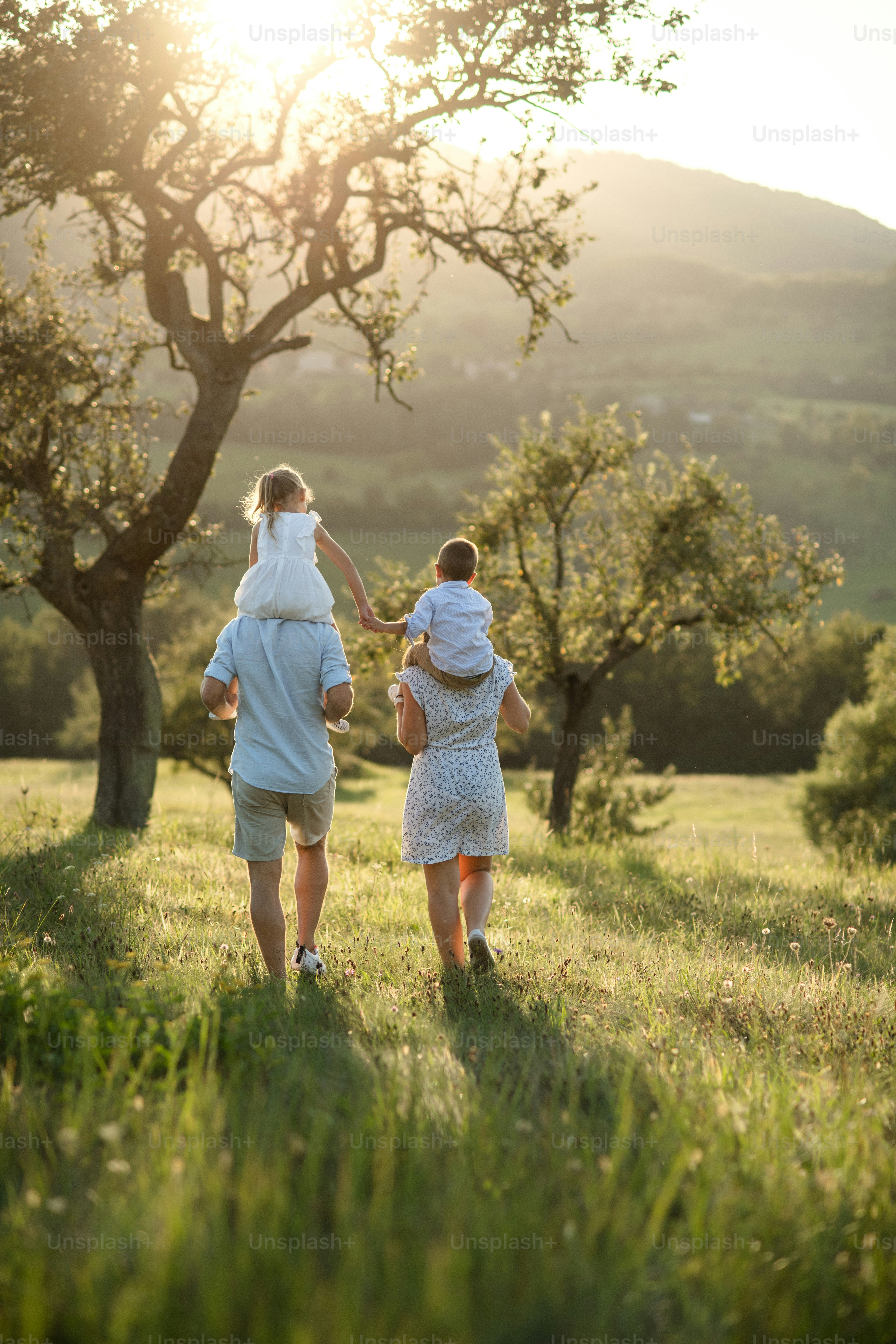 Rear view of family with two small children walking on meadow outdoors at sunset, piggyback ride