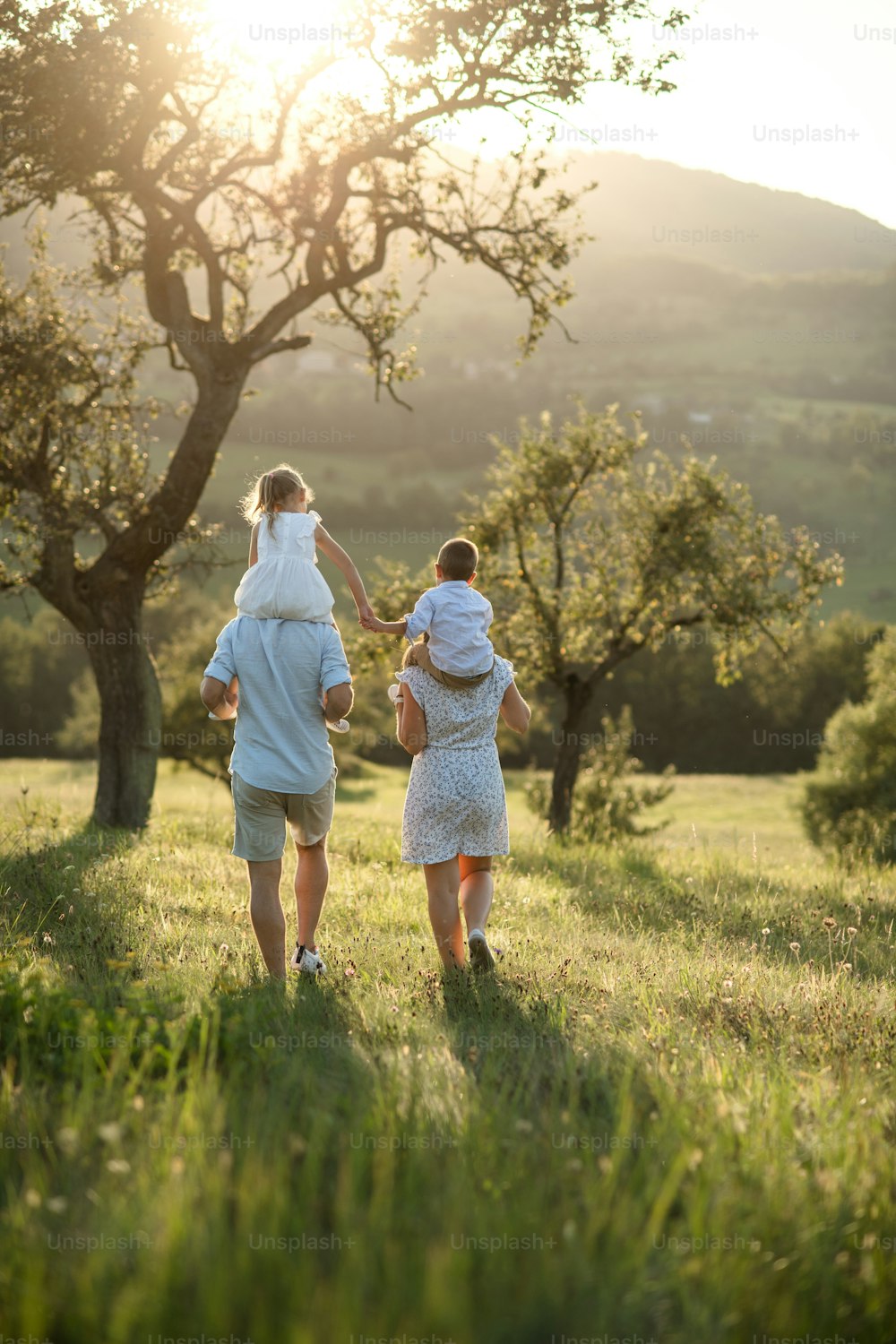 Vista trasera de la familia con dos niños pequeños caminando por el prado al aire libre al atardecer, paseo a cuestas.