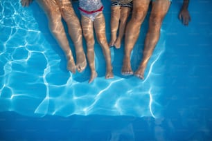 Midsection of family with small children sitting in swimming pool outdoors. Copy space.