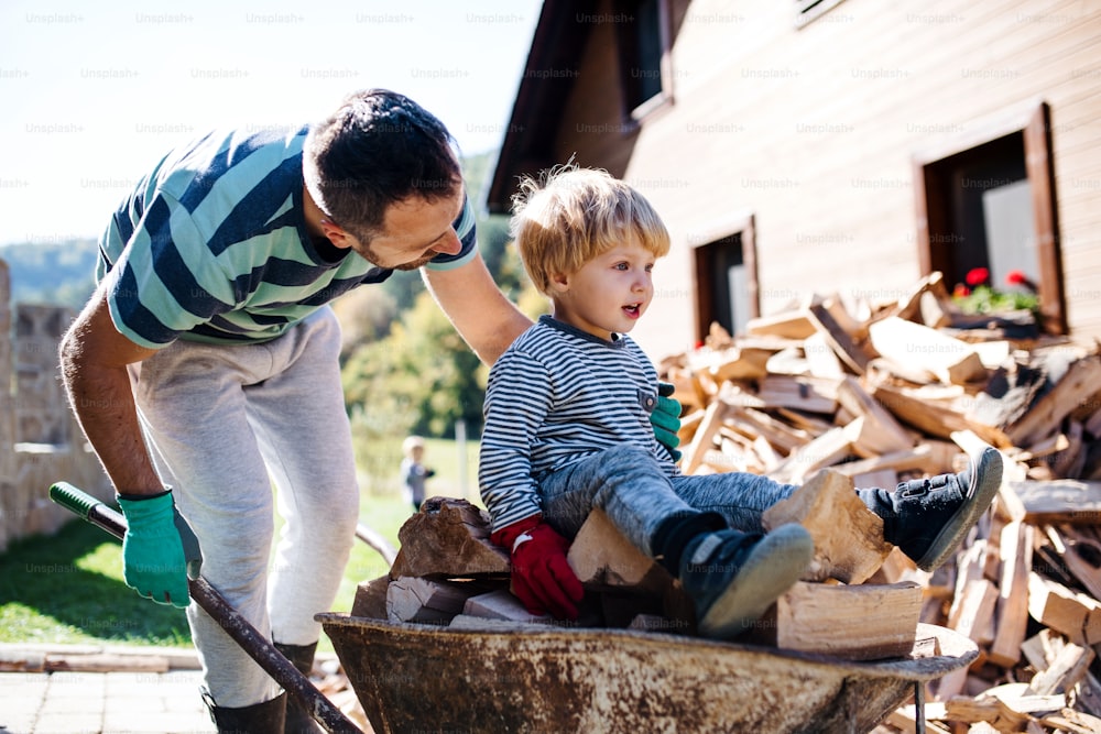 Un père et un petit garçon avec brouette à l’extérieur en été, travaillant avec du bois de chauffage.