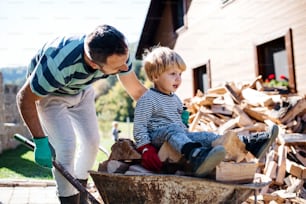 A father and toddler boy with wheelbarrow outdoors in summer, working with firewood.