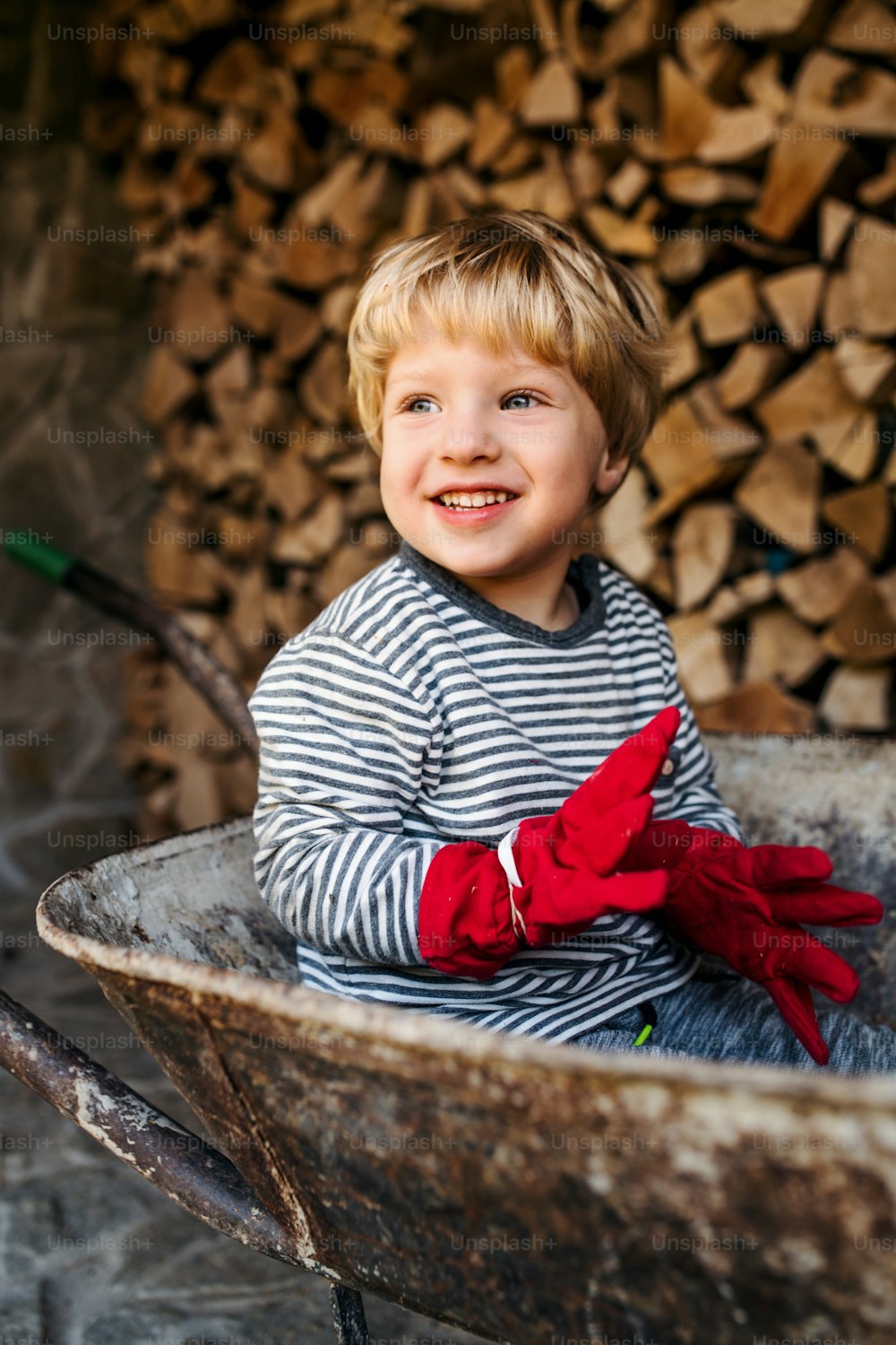 A happy toddler boy outdoors in summer, sitting in wheelbarrow.