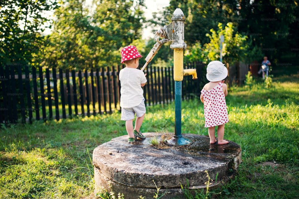 Una vista posteriore dei bambini piccoli in piedi all'aperto in giardino in estate.