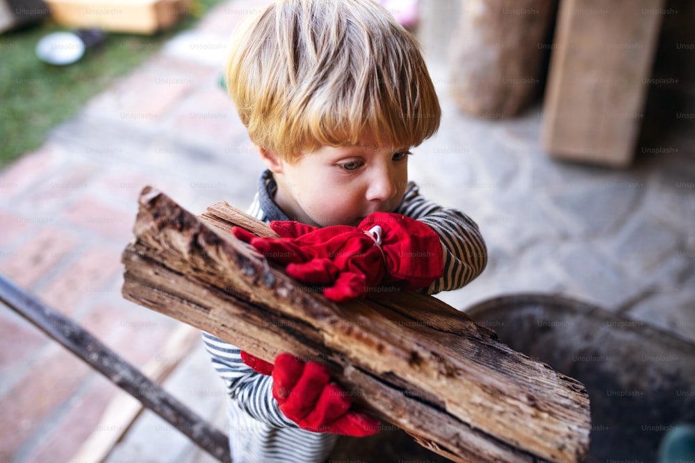 A top view of toddler boy outdoors in summer, working with firewood.