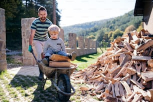 A father and toddler boy with wheelbarrow outdoors in summer, working with firewood.