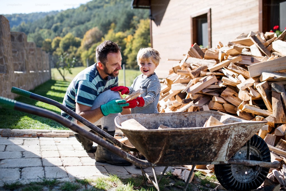 A happy father and toddler boy outdoors in summer, putting firewood in wheelbarrow.