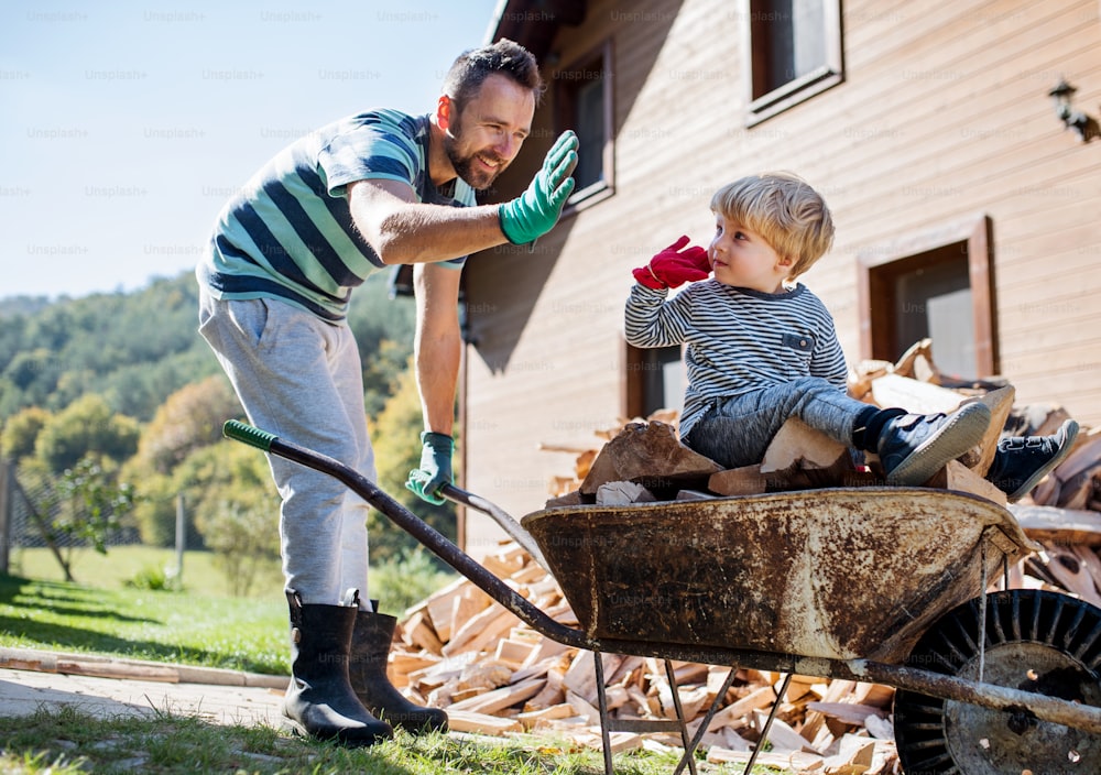 Un père heureux et un garçon en bas âge à l’extérieur en été, mettant du bois de chauffage dans une brouette.