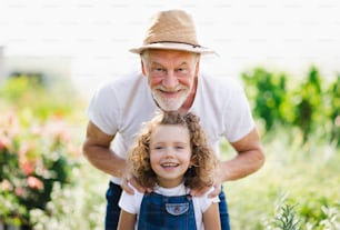 Portrait of small girl with senior grandfather in the backyard garden, standing and looking at camera.