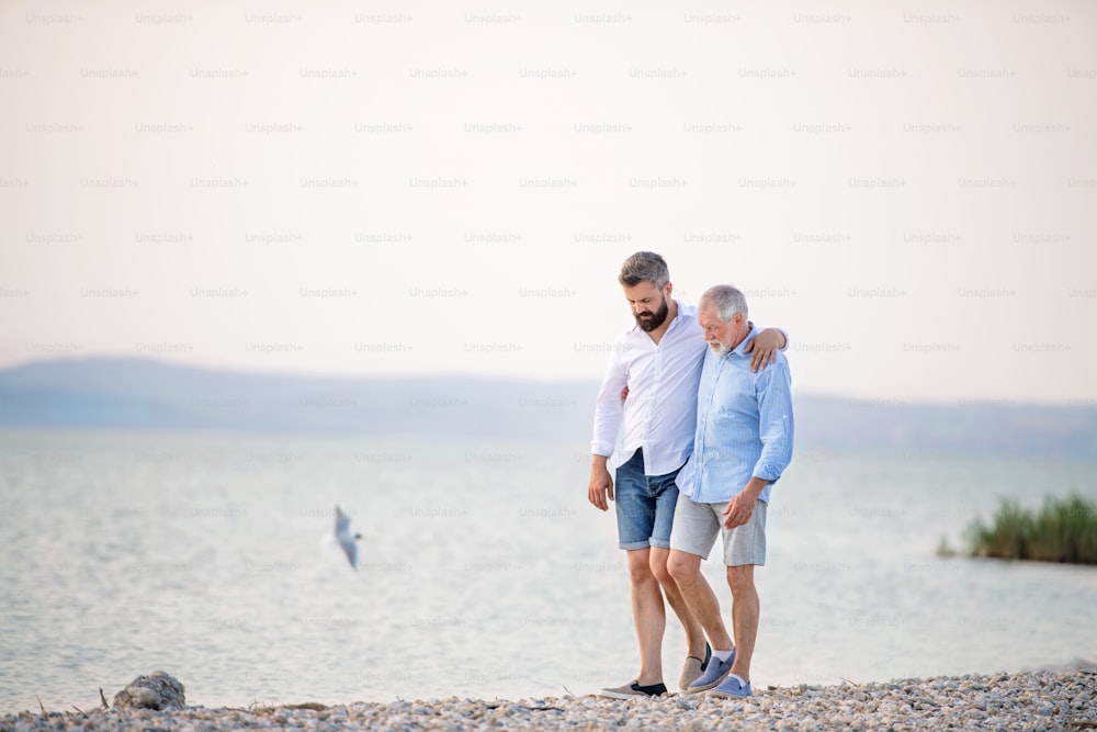Senior father and mature son walking by the lake, talking. Copy space.
