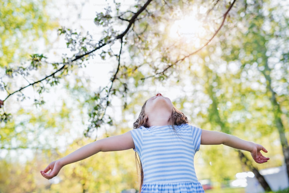 Small girl standing alone outside in spring nature, looking up. Copy space.