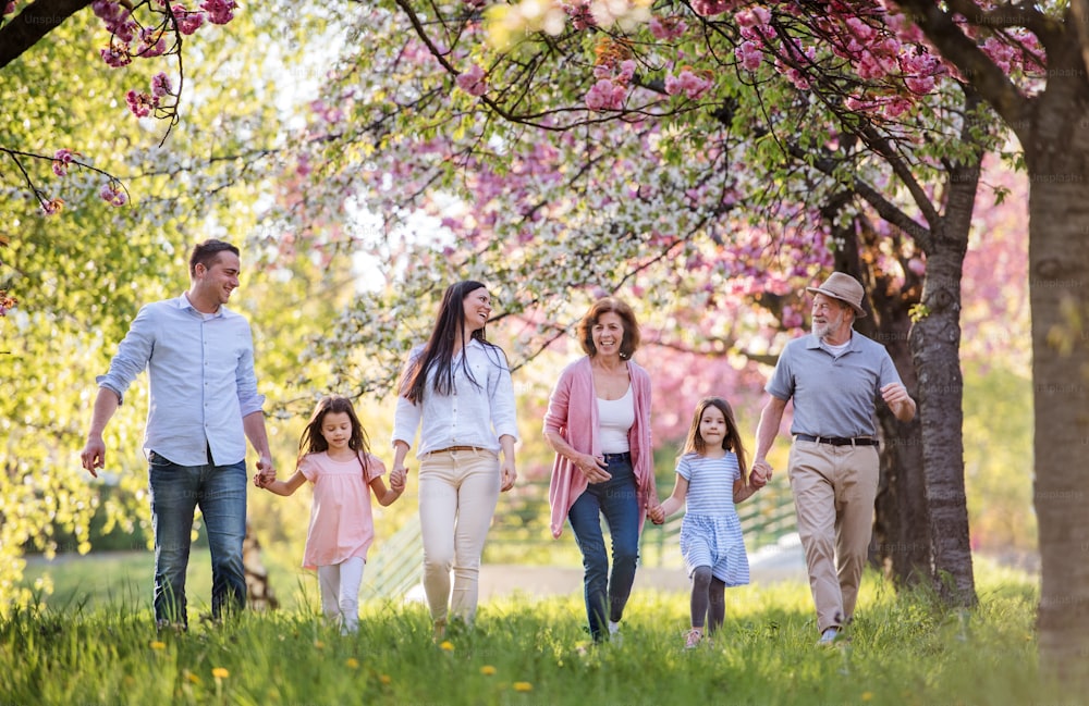 Three generation family walking outside in spring nature, holding hands.