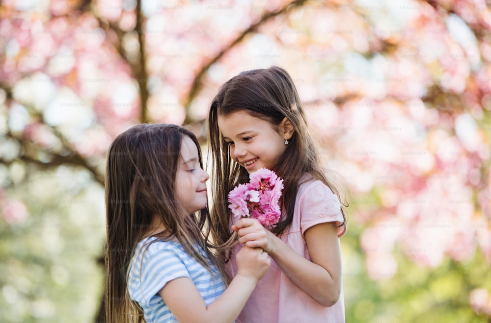 Two small girls standing outside in spring nature, holding flowers. Copy space.