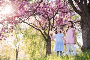 Two small girls standing outside in spring nature, talking. Copy space.