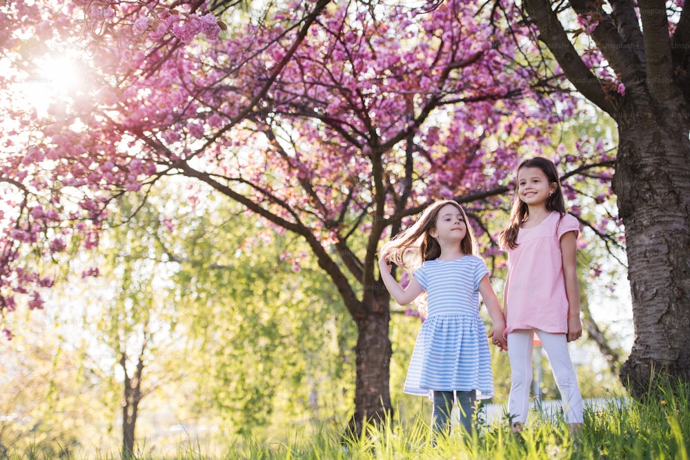 Two small girls standing outside in spring nature, talking. Copy space.