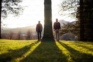 A senior father and his son standing by tree at sunset, looking at camera.