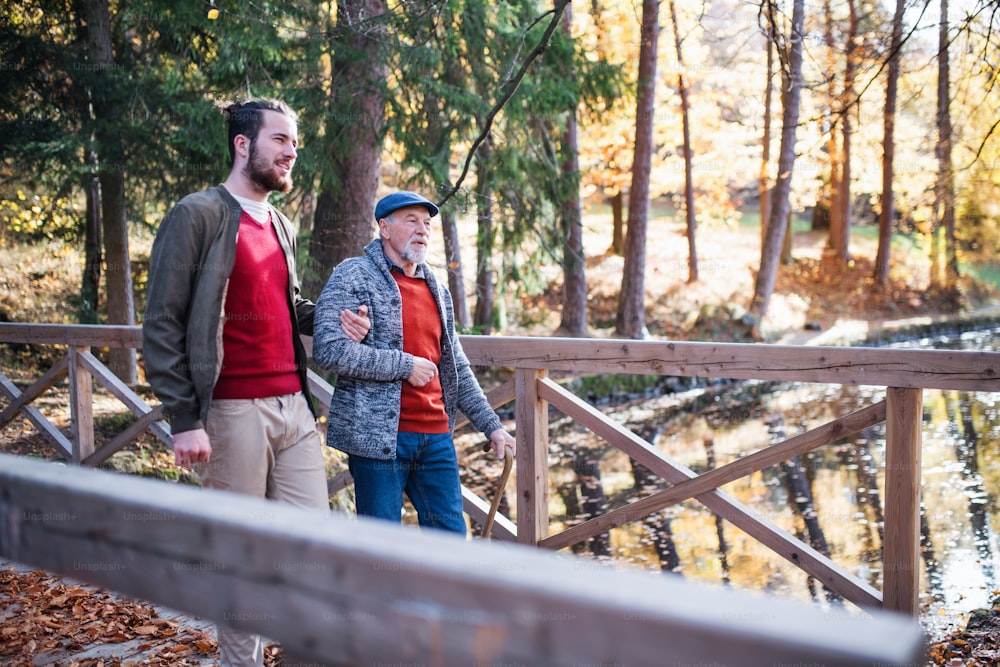 Ein älterer Vater mit Gehstock und sein Sohn beim Spaziergang in der Natur, im Gespräch.