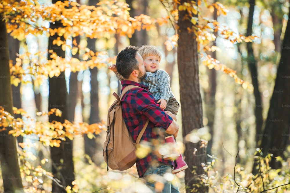 A mature father holding a toddler son in an autumn forest on a sunny day, walking.