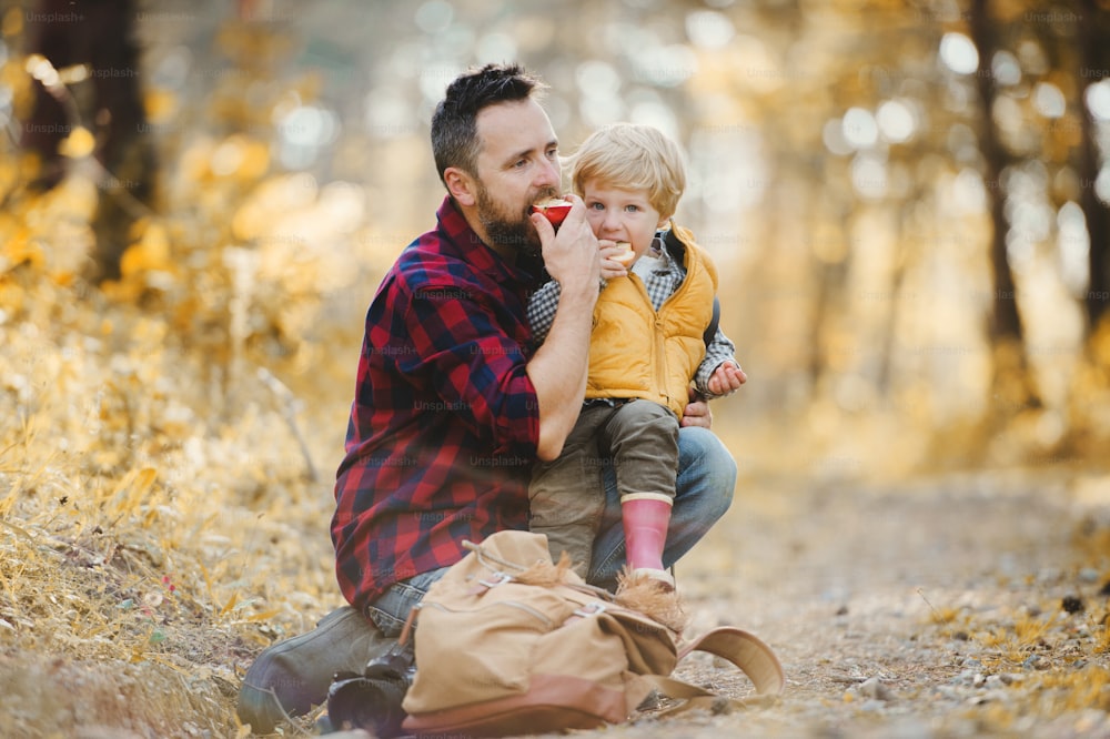 A mature father with a toddler son sitting on the ground in an autumn forest, eating apples.