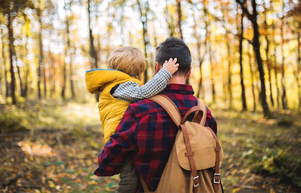 秋の森で幼児の息子を抱いたバックパックを持つ成熟した父親の背面図。