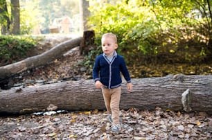 Vista frontal do menino pequeno na floresta do outono, caminhando. Espaço de cópia.