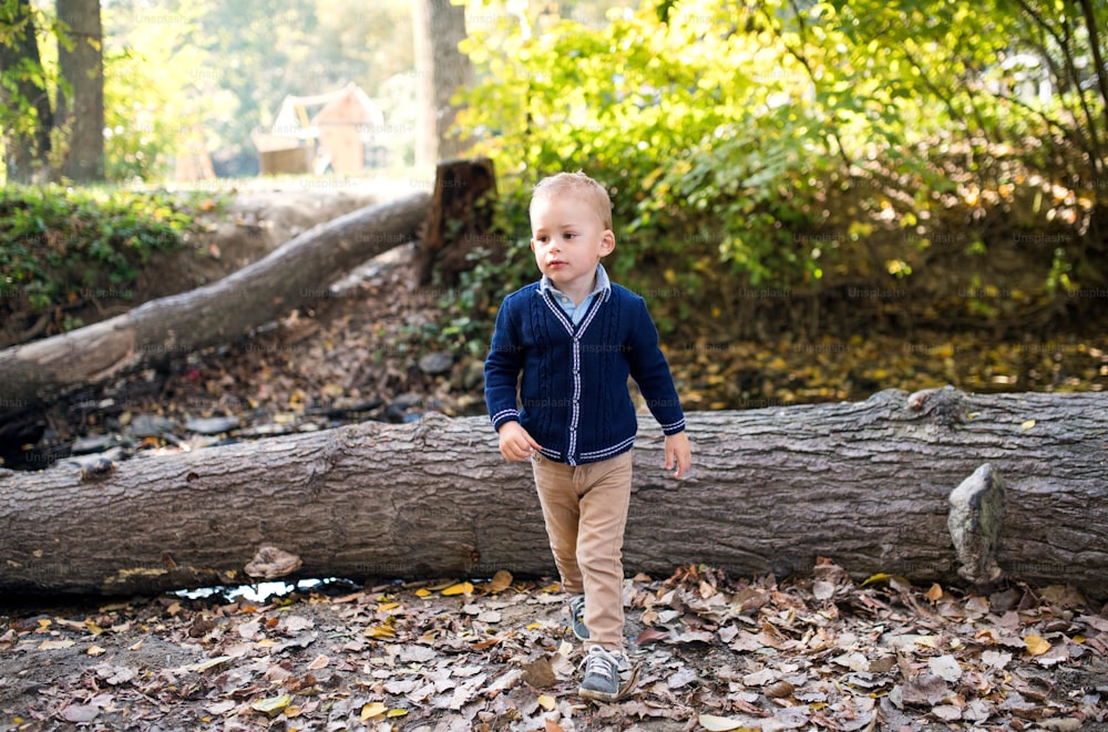 Front view of small toddler boy in autumn forest, walking. Copy space.