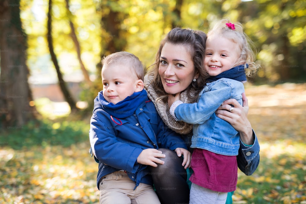 Una hermosa madre joven con gemelos pequeños en un paseo por el bosque de otoño.