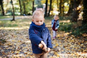 Vue de face du jumeau frère et de la petite fille marchant dans la forêt d’automne.