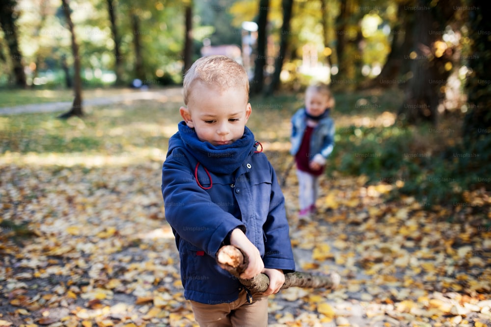 Front view of twin toddler sibling boy and girl walking in autumn forest.