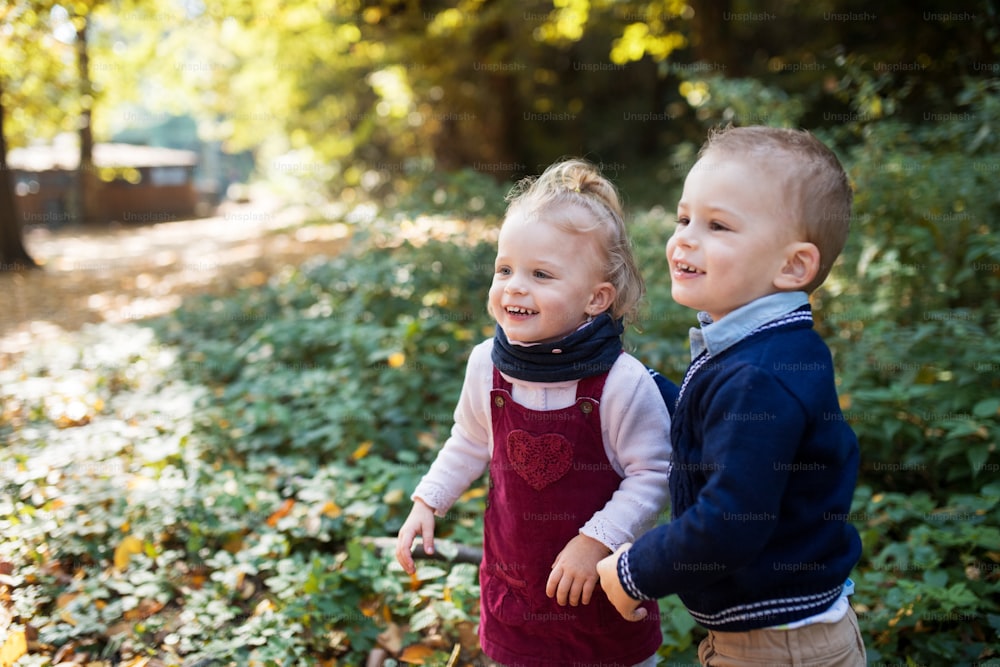 A portrait of twin toddler sibling boy and girl standing in autumn forest.Copy space.