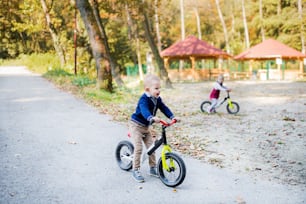 Ragazzo e ragazza del bambino gemello nel parco autunnale, cavalcando la bici di equilibrio su un sentiero.