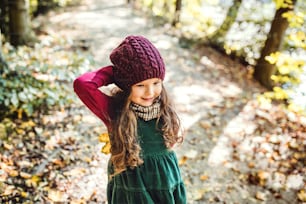 秋の自然の中で森の中に立つ小さな幼児の女の子のハイアングルビュー。
