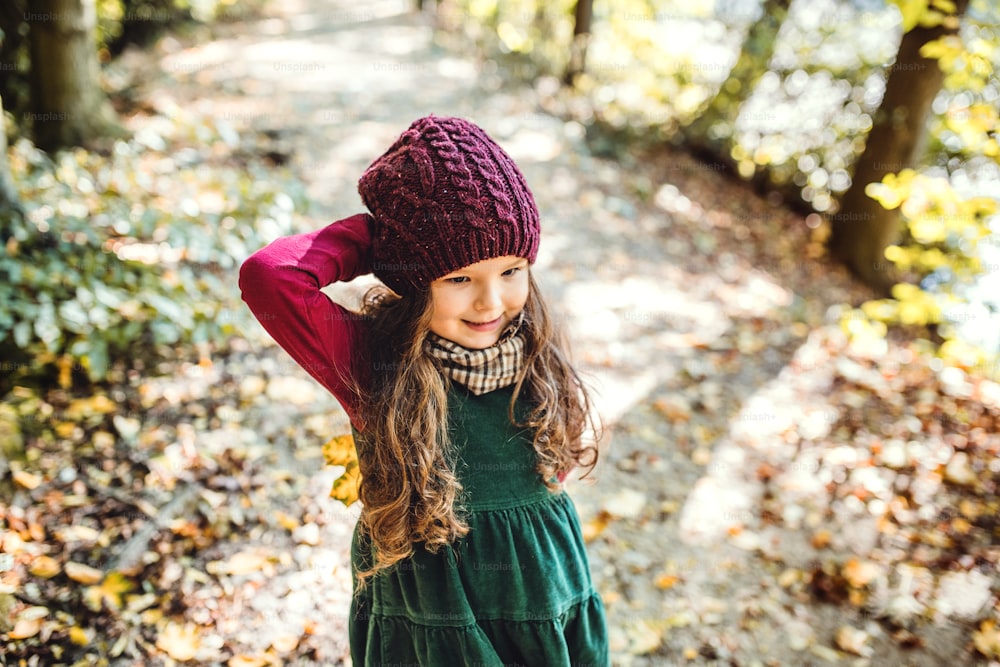 A high angle view of a small toddler girl standing in forest in autumn nature.