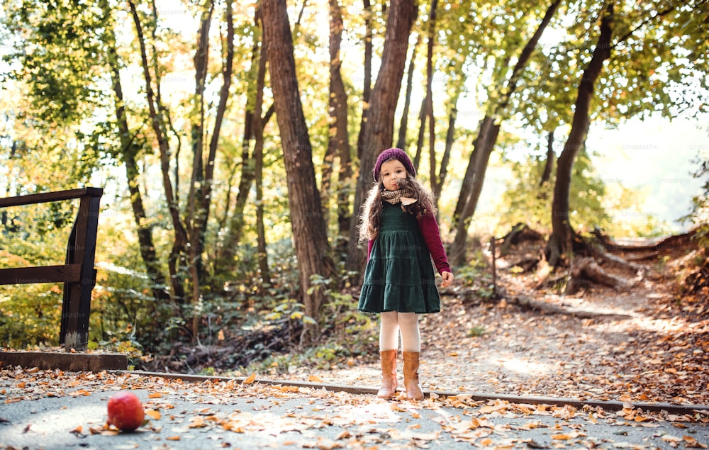 A portrait of a happy small toddler girl standing in forest in autumn nature, sticking out tongue.