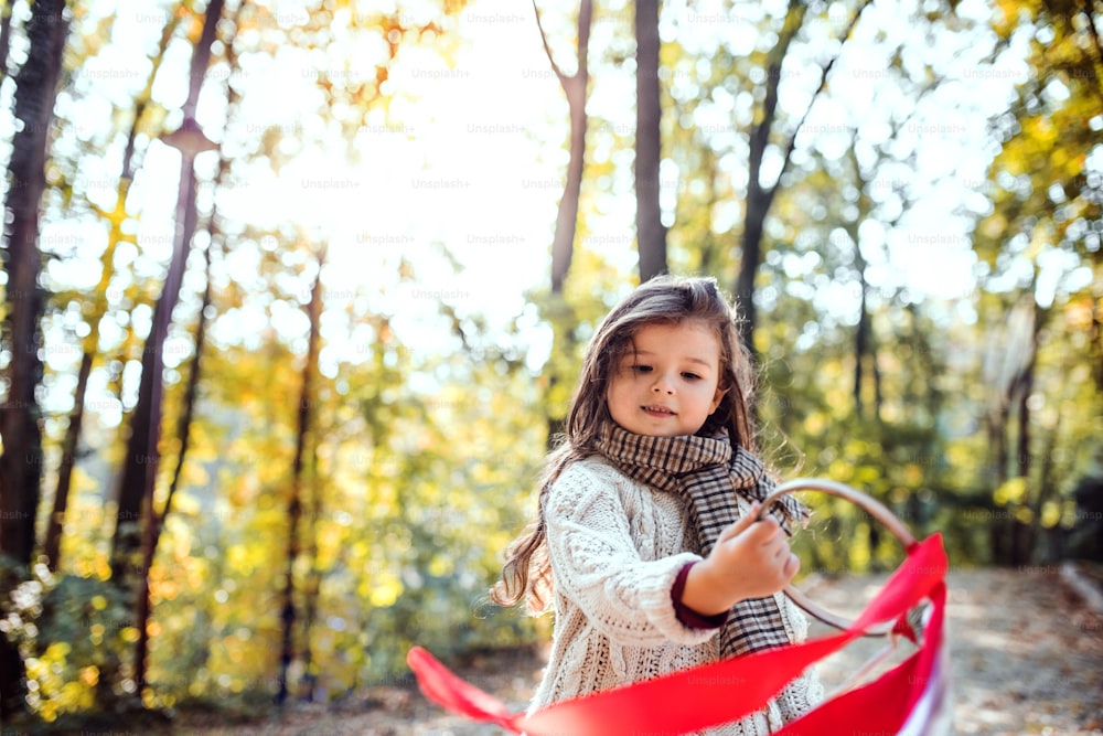 A portrait of a small toddler girl in forest in autumn nature, playing with ribbon kite.
