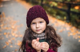 A portrait of a small toddler girl standing in forest in autumn nature, looking at camera.