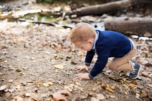 A small toddler boy in autumn forest, playing. Copy space.