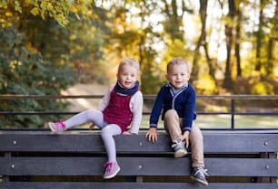 Cute twin toddler sibling boy and girl sitting on bench in autumn park.