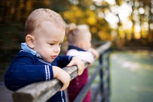 Twin toddler sibling boy and girl standing in autumn park, holding onto a railing.