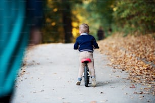 Rear view of small toddler boy with unrecognizable mother riding balance bike in autumn forest.