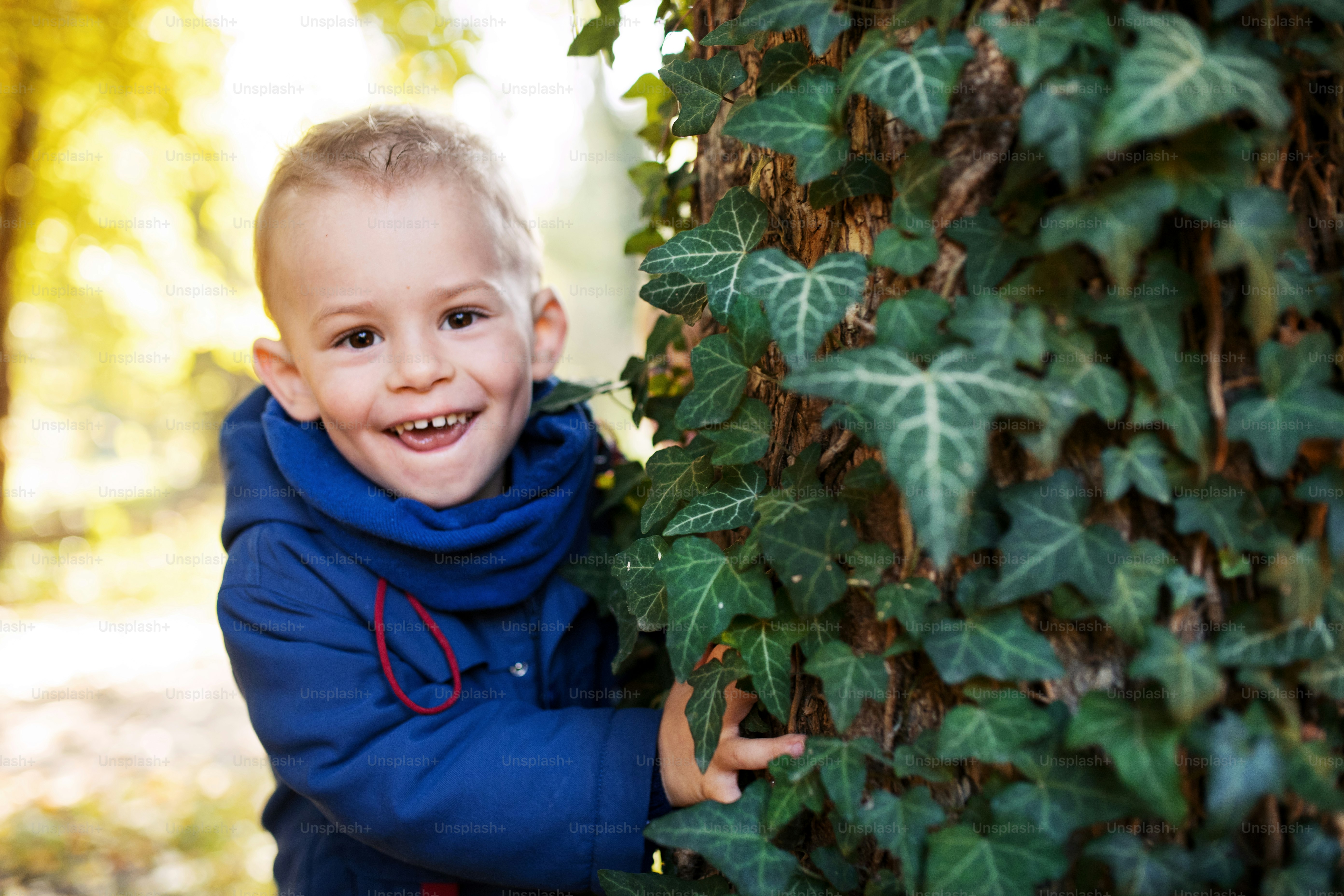 Un retrato de un niño pequeño parado en el bosque de otoño, apoyado en ...