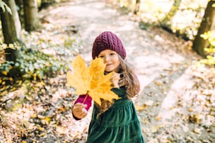 A high angle view of a small toddler girl standing in forest in autumn nature, holding leaves.