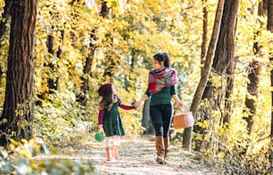 Um retrato de uma jovem mãe com uma cesta e uma filha pequena andando na floresta na natureza do outono, de mãos dadas.