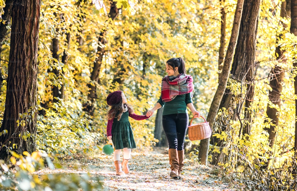 A portrait of young mother with a basket and a toddler daughter walking in forest in autumn nature, holding hands.