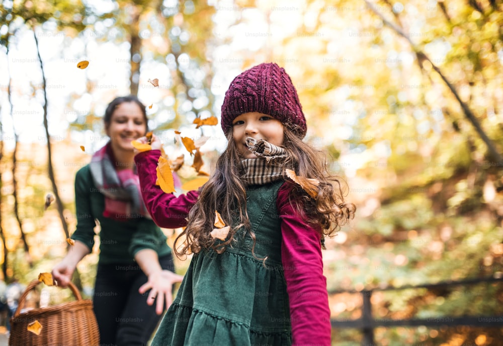 Um retrato de menina pequena com a mãe na floresta na natureza do outono, se divertindo.