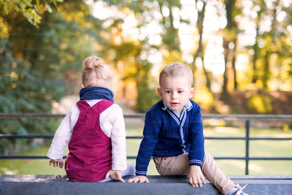 Cute twin toddler sibling boy and girl sitting in autumn forest.