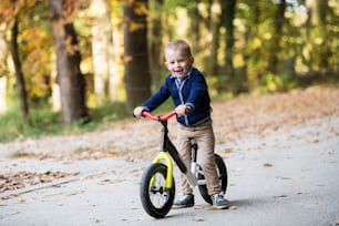 A portrait of small toddler boy in autumn forest, riding balance bike.