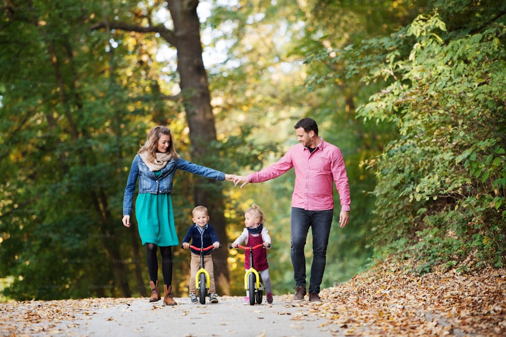 A beautiful young family with small twins on a walk in autumn forest, riding balance bikes.