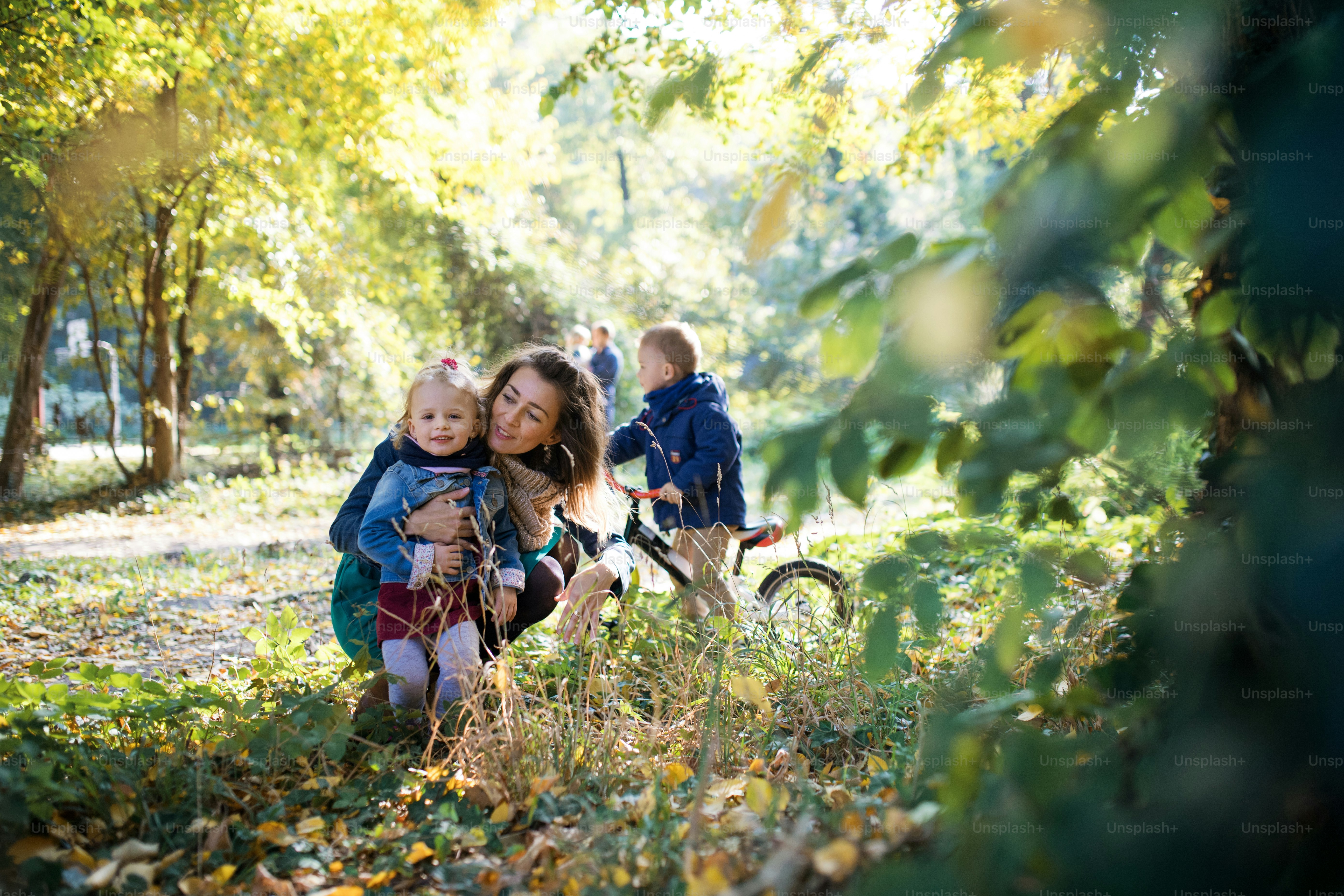 A beautiful young family with small twins on a walk in autumn forest ...
