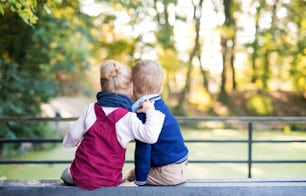 Rear view of twin toddler sibling boy and girl sitting in autumn forest, hugging.